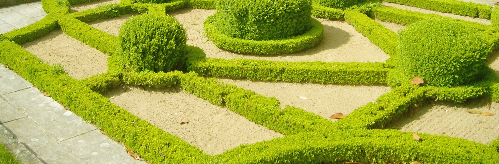 Slide background